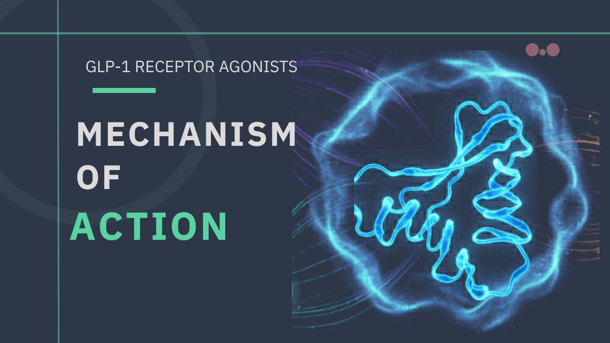 GLP-1 Receptor Agonists: Mechanism of Action