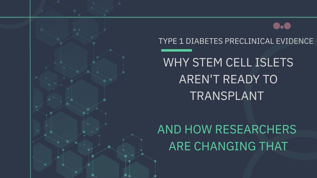 Why stem cell islets aren't ready to transplant and how researchers are changing that